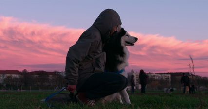 Netflix’s documentary series about dogs has finally arrived and that’s our weekend sorted