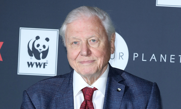 There’s a David Attenborough Christmas jumper and we must own it immediately