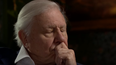David Attenborough revealed he cried over latest ‘Dynasties’ episode and ALL the feels