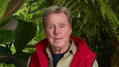 Harry Redknapp absolutely floored us while talking about his wife last night