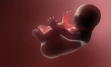 Chinese scientist claims to have made world’s first genetically edited babies