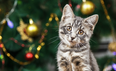 Cat owner? Argos has created the PERFECT Christmas tree to keep cats away from the baubles