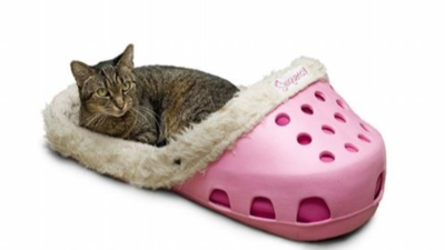 Lads! Croc-shaped PET BEDS exist, and we actually kind of love them