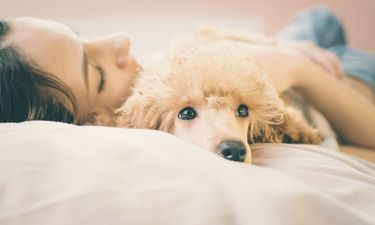 According to science, it’s better to sleep next to a dog than a man