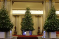 Buckingham Palace has been absolutely decked out with Christmas trees and decorations