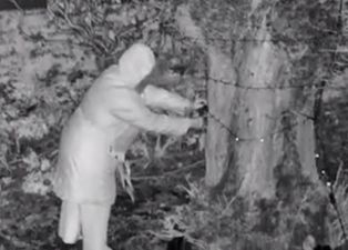 A woman was just caught snipping her neighbour’s Christmas lights, and the Grinch is real