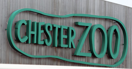 Animals confirmed dead following fire at Chester Zoo