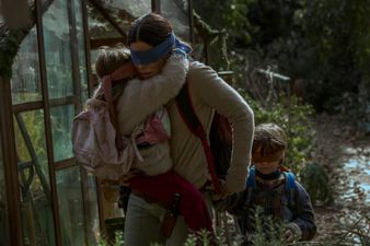 Netflix issues statement to fans who are trying the Bird Box challenge