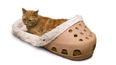 Here’s a pet bed shaped like a giant Croc for you to put your animal in