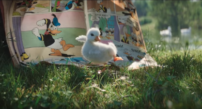 We have MELTED after seeing this video of a duckling obsessed with Donald Duck