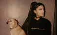 Ariana Grande just got a Pokémon tattoo and fans absolutely adore it