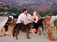 This lovely man proposed to his girlfriend with the help of 16 very lovely dogs