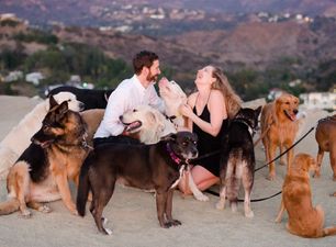 This lovely man proposed to his girlfriend with the help of 16 very lovely dogs