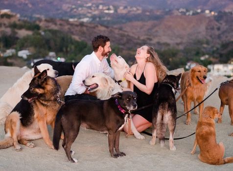 This lovely man proposed to his girlfriend with the help of 16 very lovely dogs