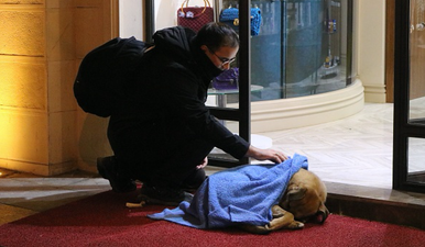 This man giving blankets to freezing stray dogs is too much for us to handle today