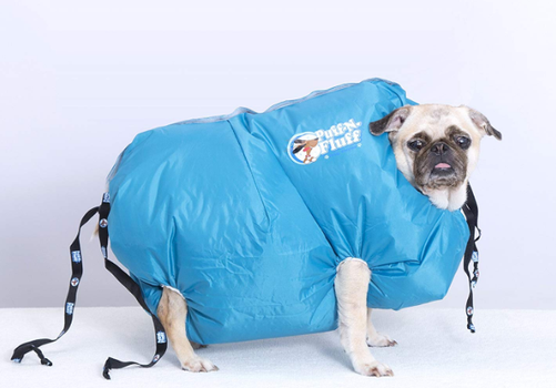 Sick of your madra running through the house soaking wet? Dog hair dryers are now a thing