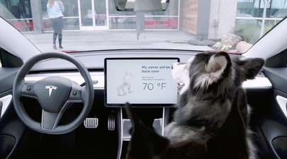 New ‘dog mode’ for Tesla cars will keep your good boys safe and sound