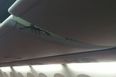 Spotted: huge scorpion crawling out of overhead locker on plane