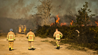 Wild fires are currently ripping through Winnie the Pooh’s Hundred Acre Wood