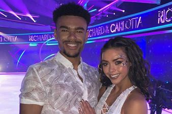 Wait, apparently Wes Nelson did have a fling with DOI partner Vanessa Bauer