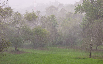 Have plans? Met Éireann say the weather is going to be wild today