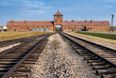 Auschwitz Memorial asks visitors to stop taking disrespectful photos at the camp