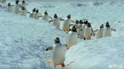 David Attenborough’s new nature documentary series on Netflix has left people very emotional