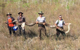 A 17-foot long snake has been found slithering around Florida