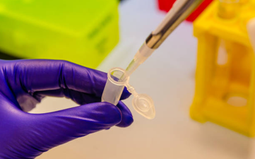 ‘An upward trend’: Sexual assault cases up by 30 per cent in a year, says FSI