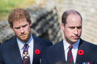 Prince Harry has opened up about his feud with Prince William, and we’re emotional