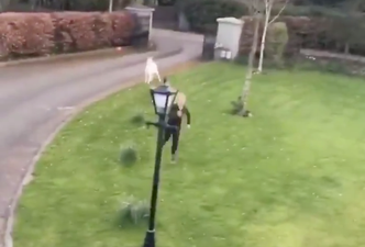 Jogger in Kildare gets chased by a rogue goat and it’s bleating hilarious