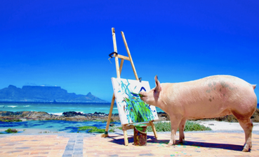 Meet Pigcasso, the art sensation who was rescued as a little piglet