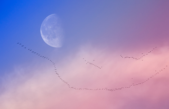 Pink Moon 2019 is happening tonight and here’s how you can see it