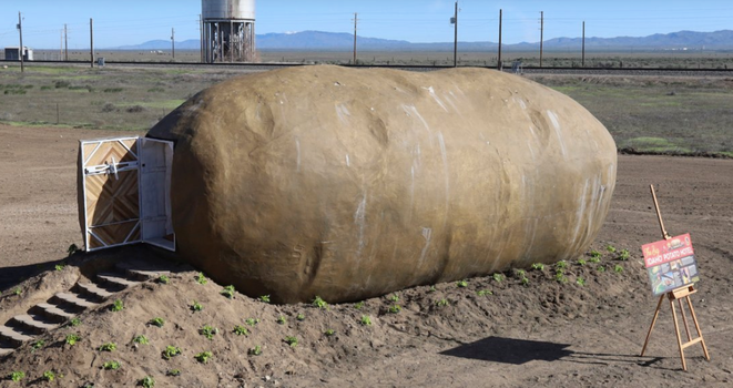 giant potato