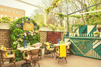 Elle’s Bar have launched a delicious new vegan meal and we are LOVING it