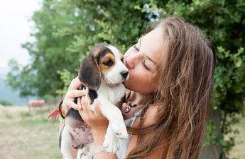 Bad news klaxon! Kissing your pet on the mouth may be damaging your health