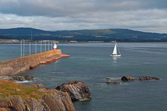 Wicklow has become the first county in Ireland to declare a climate emergency