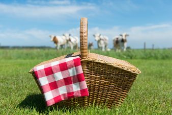 Tell us your favourite Dairylea on-the-go snack to WIN a €1000 One4all voucher