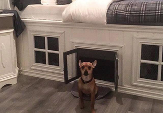 This Irish company sells beds with a special compartment for your PET to sleep in