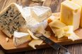 This all you can eat cheese party is the only party we EVER want to go to