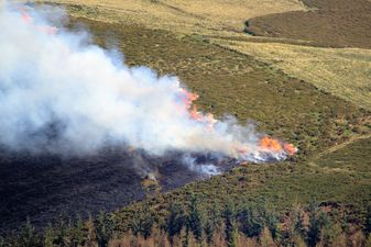 Orange fire warning issued as temperatures are forecasted to rise