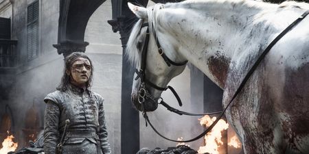 Game of Thrones fans reckon they’ve figured out the truth behind Ayra’s white horse