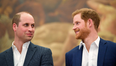 Royal commentator points out ‘obvious’ problem with Prince William and Prince Harry
