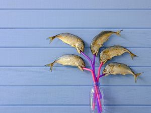 Plastic straws, cotton buds, and drink stirrers banned in the UK by next year