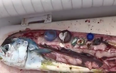 Chef shares troubling footage of all the plastic he found inside a fish