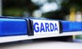 Breaking: Two men have been killed in an aircraft accident in County Kildare