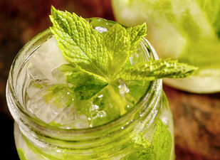 There’s a GIN garden at this year’s Bloom festival so pass the tonic