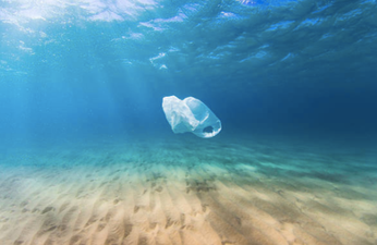 A free festival in Cork wants to save our seas from plastic pollution