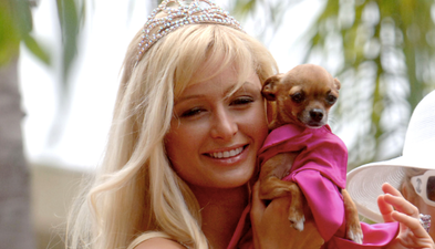 A Chihuahua café is coming to London and we’re booking flights after work