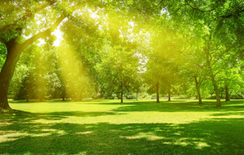 Temperatures might actually reach 20 degrees next week